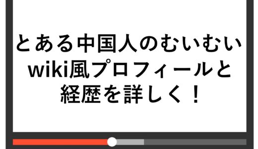 とある中国人のむいむいwiki風プロフィールと経歴を詳しく！